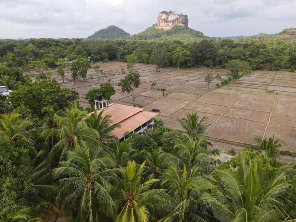 Sigiriya Paradise Inn Exterior photo