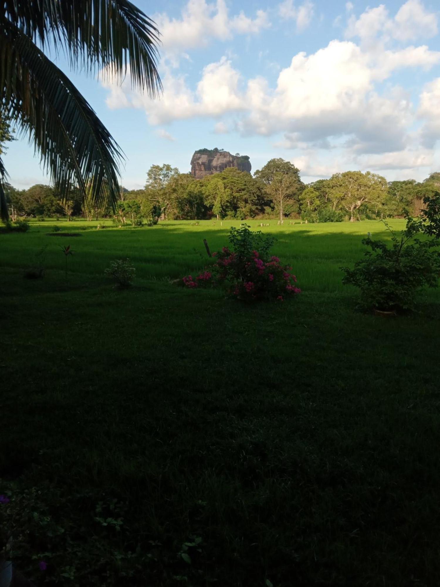 Sigiriya Paradise Inn Exterior photo